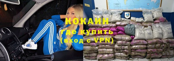 СК Белокуриха