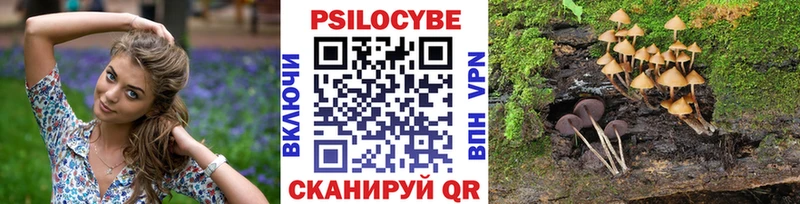 Псилоцибиновые грибы Psilocybine cubensis  Кубинка 